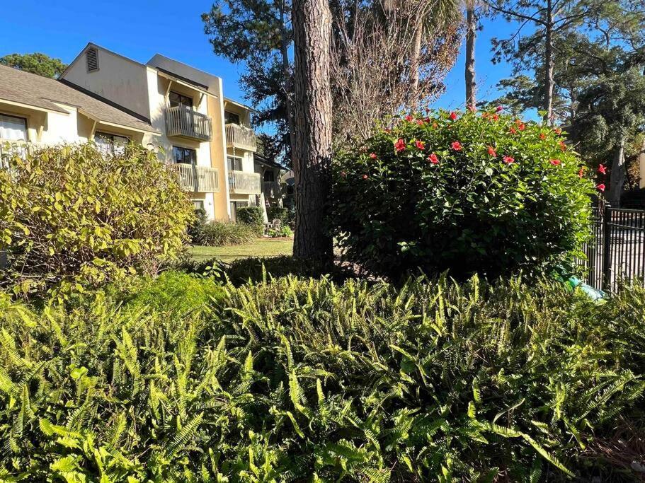 Spacious, Cozy Villa W/Parking In Coligny Villas Hilton Head Island Exterior photo